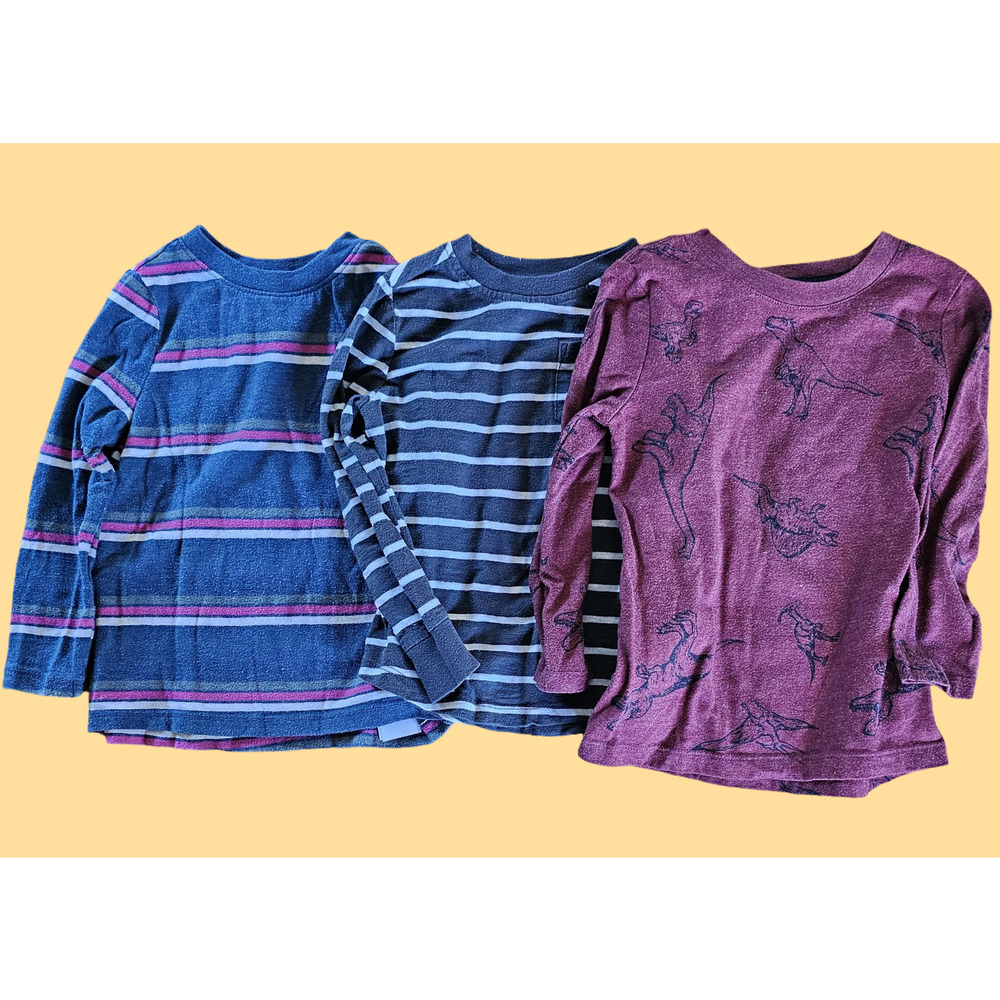 Toddler Long Sleeve Boy Tees 3T